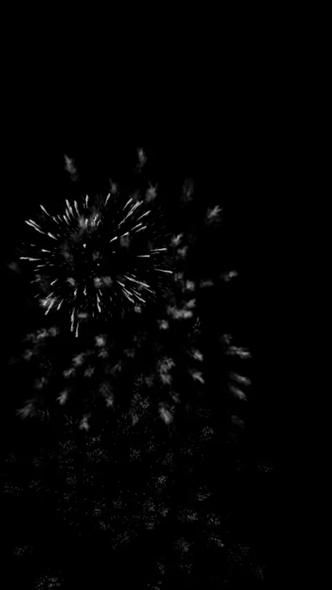 Vertical View of White Fireworks Exploding on Black Background Stockbeeldmateriaal 347673800