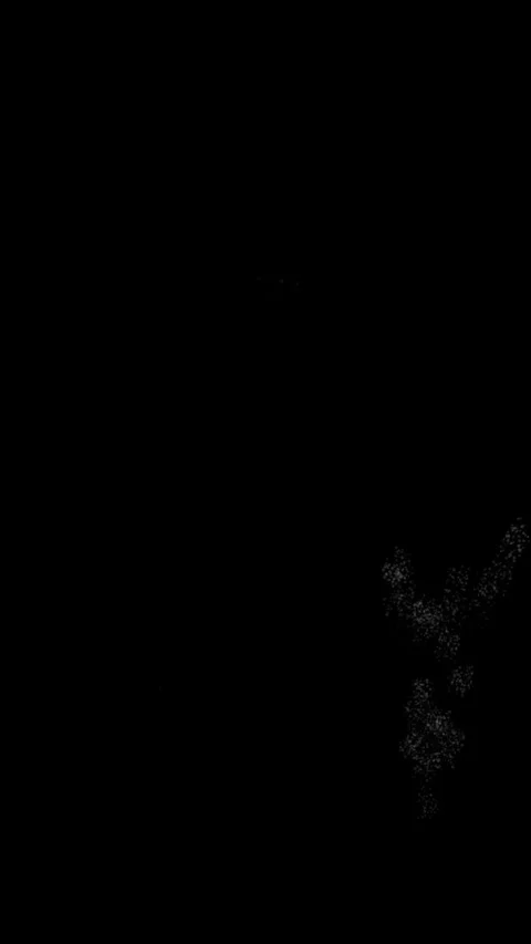 Vertical View of White Fireworks Exploding on Black Background Stockbeeldmateriaal 347674634