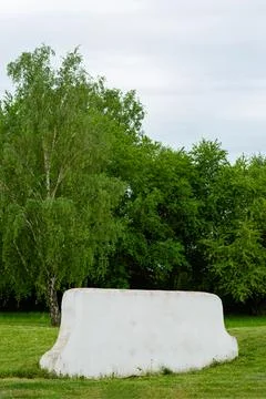 Vertical view of white stone bench and birch tree Foto stock