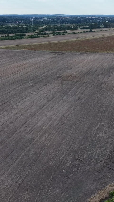 Vertical view. Wide Aerial View of Harvested Agricultural Fields Video stock 348631410