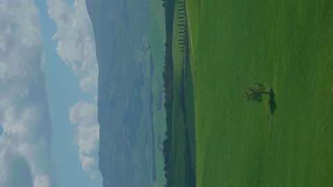 Vertical view of the Wind that caresses the grass of the Chianti hills, Siena. Stock Footage 111484080