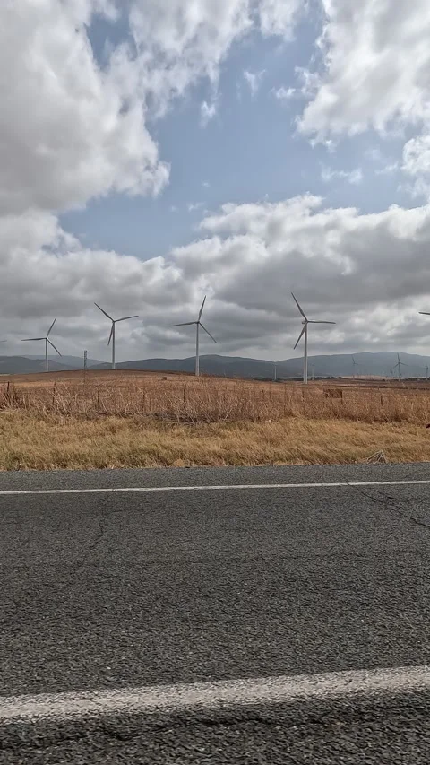 Vertical view of wind turbines in a field from a car driving Stock Footage 332065272