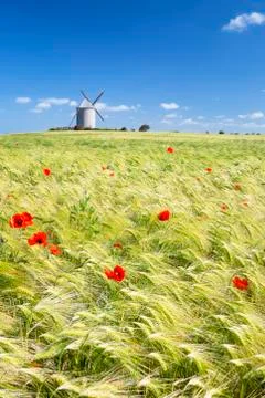 Vertical view of Windmill and wheat field Stock Photos