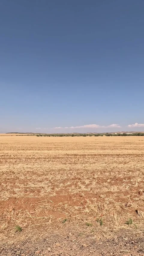 Vertical view from a window car of a vast harvested field Stock Footage 283276706