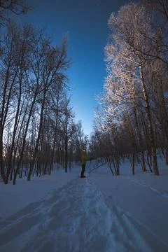 Vertical view of a winter hiker under frosted birch trees near Sand and Mal.. Stock Photos