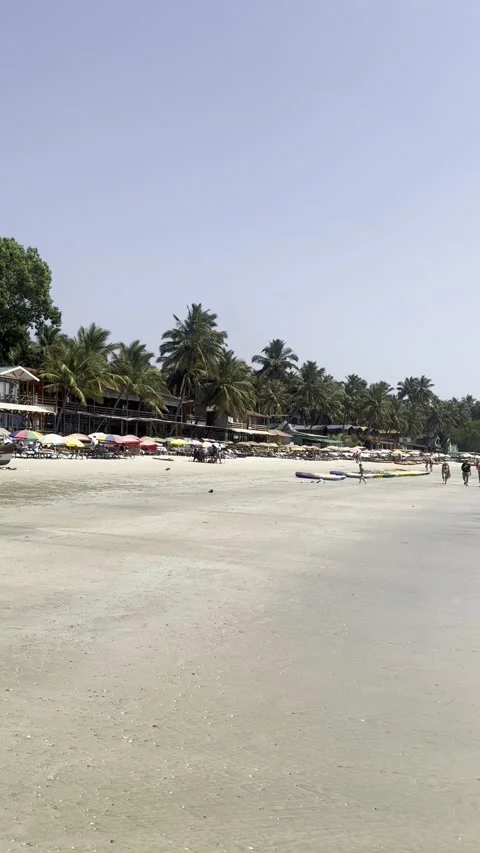 Vertical view of wooden beach huts and tropical shoreline on Palolem Beach Goa 스톡 동영상 343134031