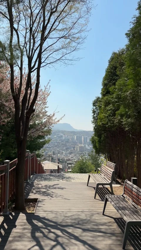 Vertical view of a wooden park deck overlooking a beautiful cityscape in spring Stockbeeldmateriaal 334231067