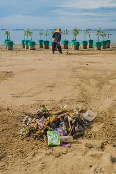 Vertical View of Worker Cleaning Beach Near Mangrove Saplings Фото