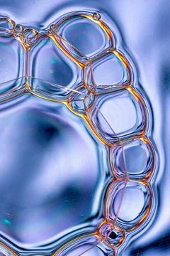 Vertical violet cell bubble structure backdrop Fotos Stock