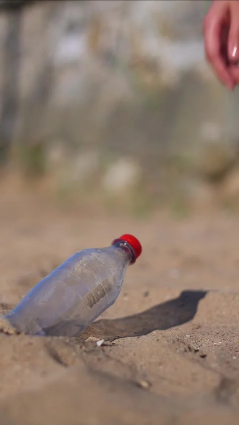Vertical Volunteer picking up plastic bottle on the beach Stock Footage 313554730
