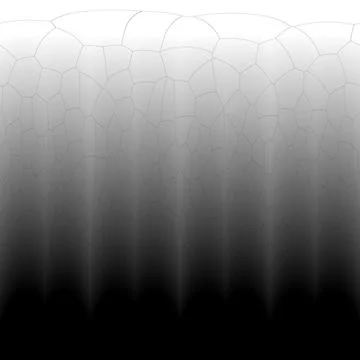 Vertical Voronoi Cell Pattern with Black and White Gradient Transition Fotos Stock