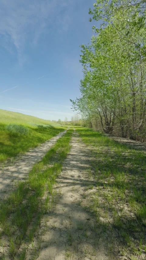 Vertical Walking Footage on a Dirt Trail on West Sacramento Levee Vídeo Stock 331222453