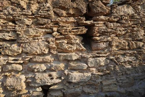 Vertical wall made of shell brick, old and textured. 스톡 사진