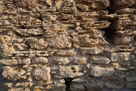 Vertical wall made of shell brick, old and textured. 스톡 사진