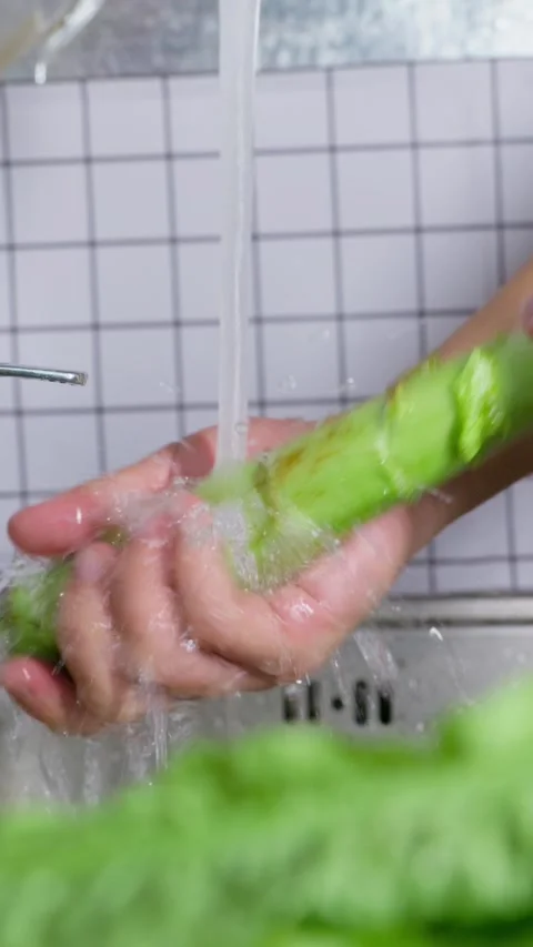 Vertical: Washing crisp lettuce stem with tap water Видео 341837245
