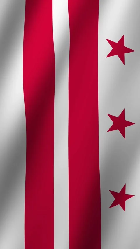 Vertical Washington, D.C. Flag Animated 4k video Stock Footage 297018255