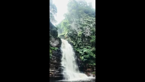 Vertical Waterfall 4K Video Video stock 319923935