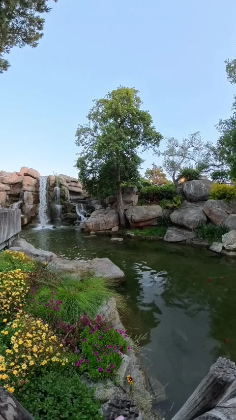 Vertical-Waterfall and Pond at Knott’s Berry Farm Stock Footage 312708643