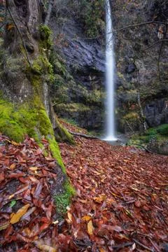 Vertical Waterfall with Chestnut tree in the foreground Stock Photos