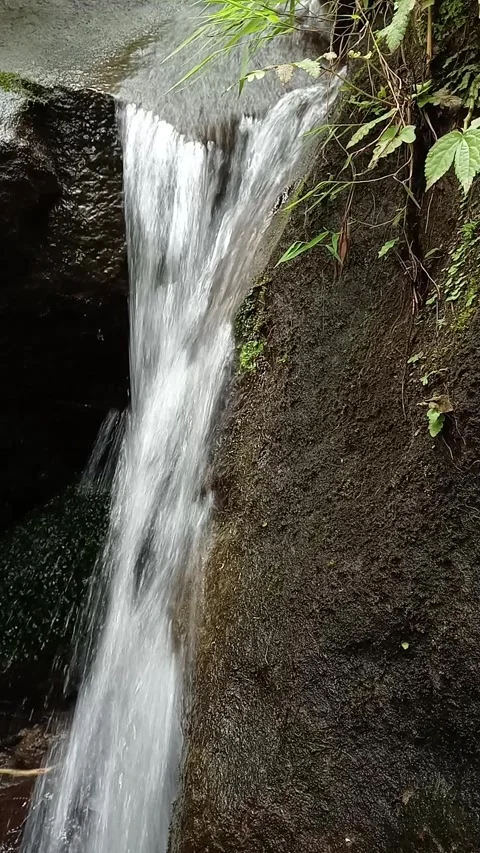 Vertical Waterfall Flow Over Rock Wall Natural Forest Scene Stock Footage 330589186