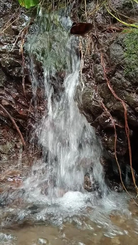 Vertical Waterfall Flowing Down Rocks in Natural Forest Scene Stock Footage 330538990