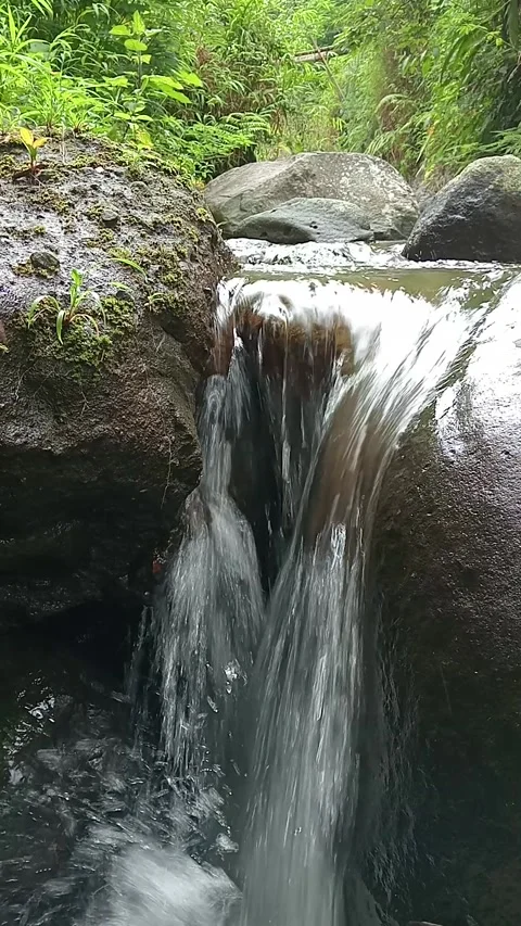 Vertical Waterfall Flowing Down Rocks in Tropical Forest Close-Up Stock Footage 330582280