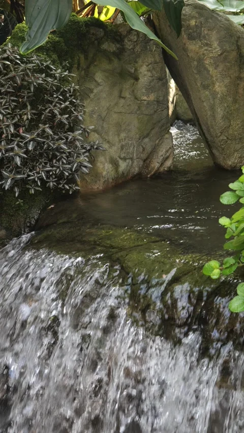 Vertical Waterfall in a Tropical Forest - 4K Nature Video Stock Footage 295704582