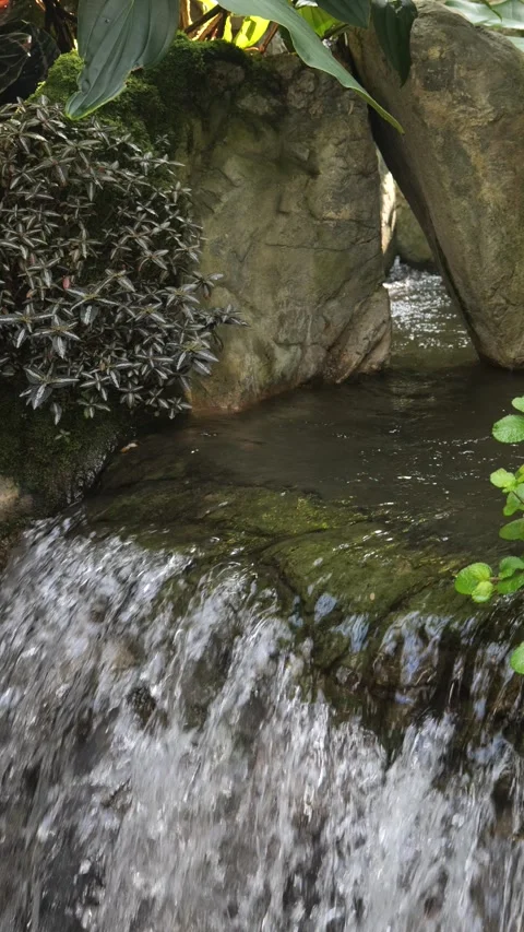 Vertical Waterfall in a Tropical Forest - 4K Nature Video Stock Footage 295788035