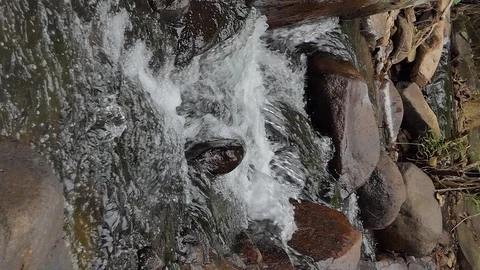 Vertical of waterfall in tropical rain forest. Video stock 119986541