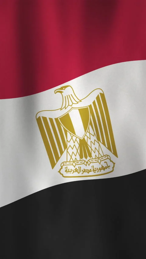 Vertical Waving Egypt Flag Background with Eagle of Saladin Emblem Stock Footage 303433759