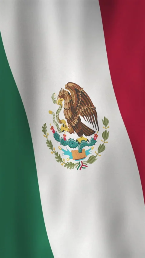 Vertical Waving Mexico Flag Motion Graphic Background with Fabric Texture Stock Footage 303434873