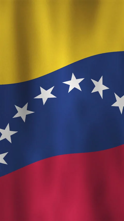 Vertical Waving Venezuela Flag Motion Graphic Background with Fabric Texture Stock Footage 303435252
