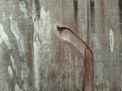 Vertical weathered wooden planks showing deep grain, grey discoloration, an.. Stock Photos