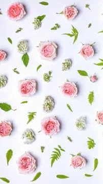 Vertical web banner flower pattern: rosebuds, hawthorn flowers, rowan leaves  Foto stock