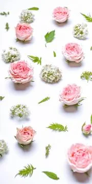 Vertical web banner flower pattern: rosebuds, hawthorn flowers, rowan leaves  Foto stock