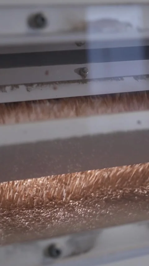 Vertical. Wheat grains pour down onto platform after sorting operation in mill Vídeos de archivo 325809840