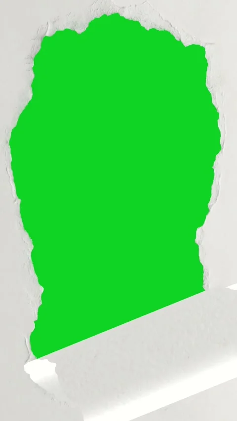 Vertical white paper peeling large square reveal revealing animated on green Stock Footage 335216839