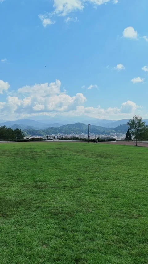 Vertical Wide View of Green Lawn and Alps Mountains Stock Footage 346583142