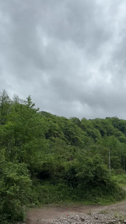 Vertical Wilderness Mountain Peaks Covered In Thick Summer Forest Trees Vídeo Stock 335256887