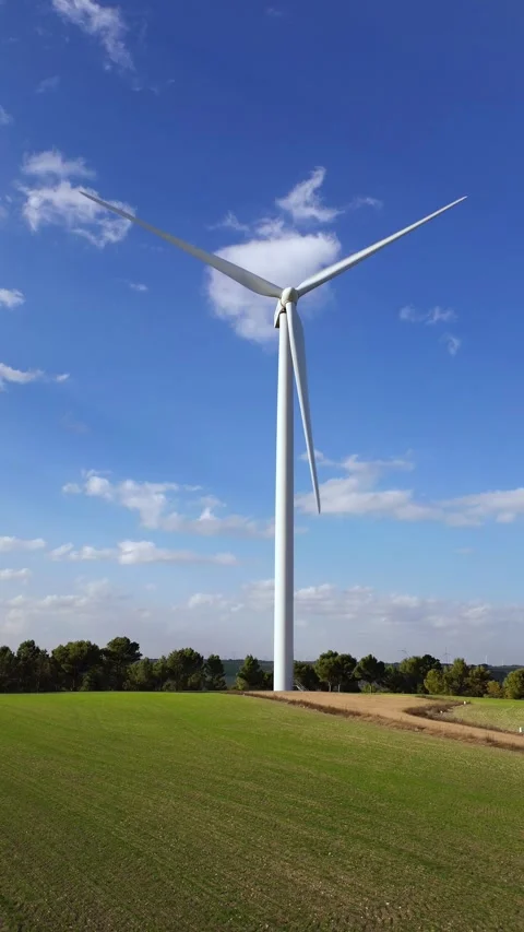 Vertical Wind Turbine Generating Renewable Energy Above Green Cereal Field Video stock 331119946