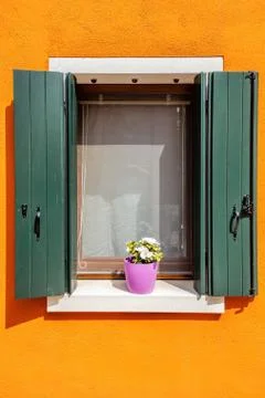 Vertical window with flower Stock Photos