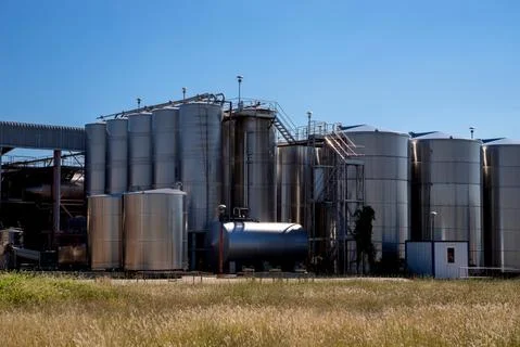 Vertical winemaking tanks. Foto stock