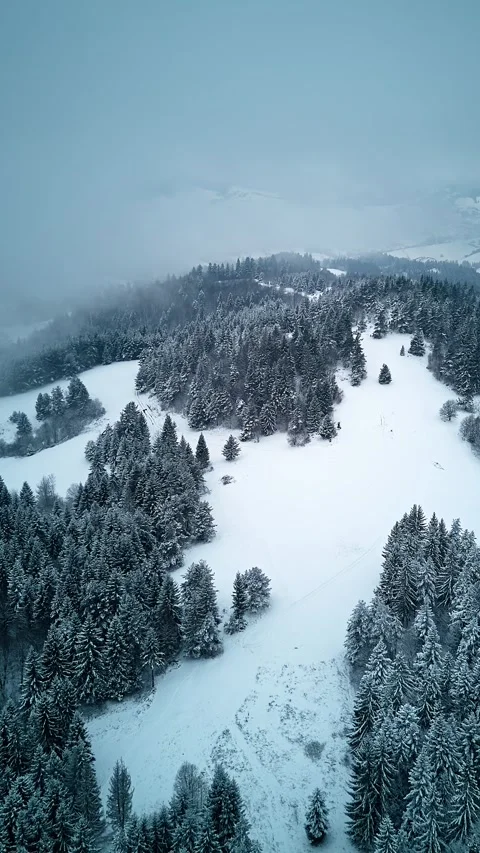 Vertical Winter aerial hyperlapse above dark coniferous forest and snowy hills Stock-Footage 323216901