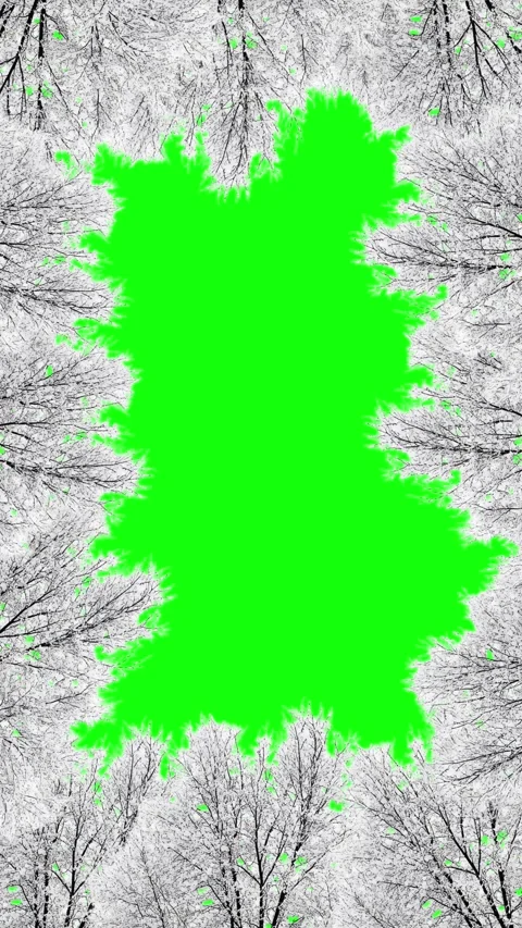 Vertical Winter Effect Video Branch with Hoarfrost on Chroma Key Background Stock Footage 320525701