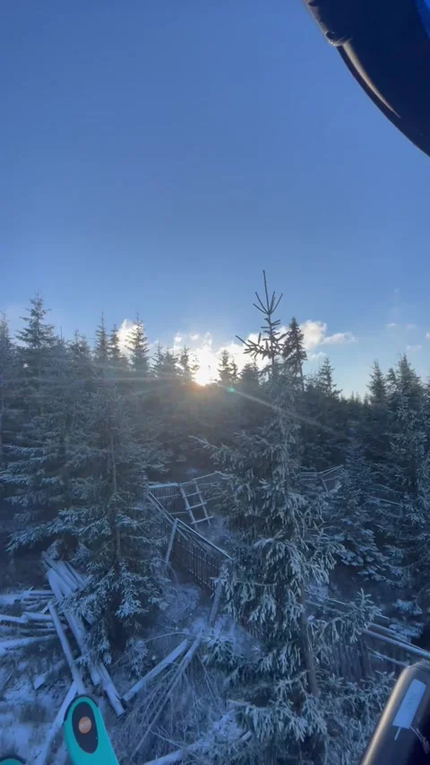 Vertical winter sun shining through frosted pine forest on mountain slope Stock Footage 325647626