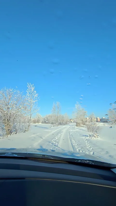 Vertical. Winter. View from the car. Snowy park Stock Footage 267404929