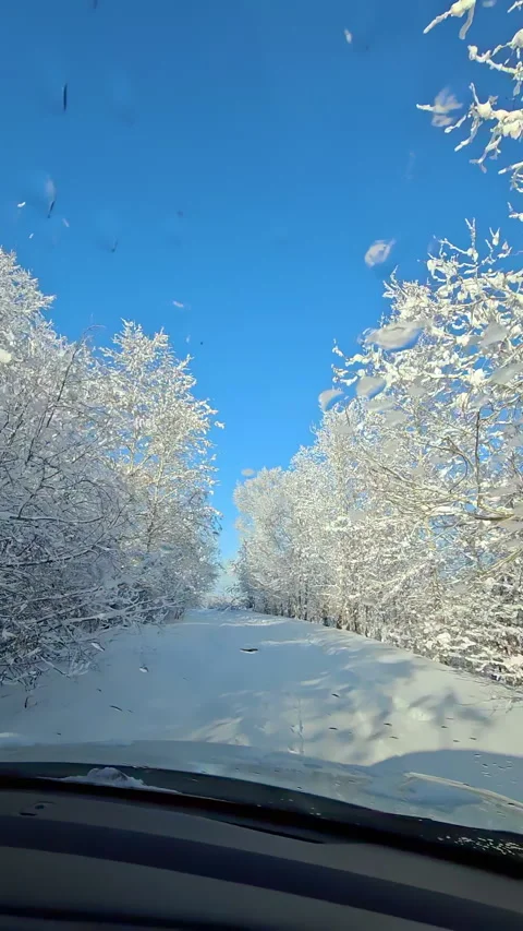 Vertical. Winter. View from the car. Snowy park Stock Footage 267405223