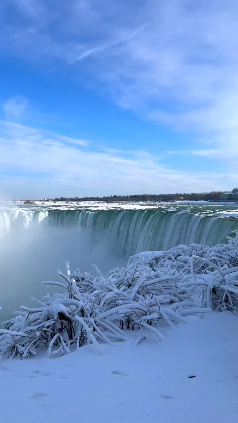 Vertical Winter View Of Horseshoe Falls Crest Behind Frosted Snowy Bushes Stock-Footage 342331288