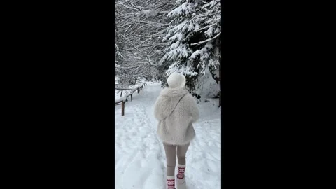 Vertical Winter Walk Forest Lifestyle Content Stock Footage 341767123