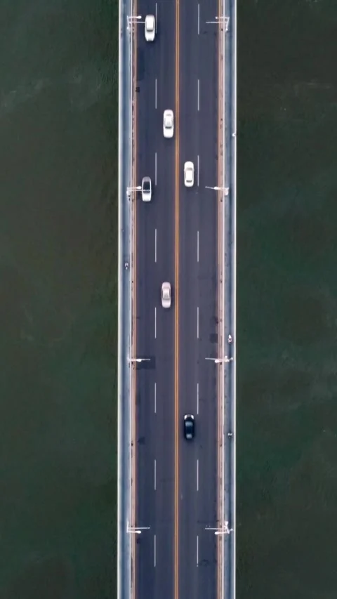 Vertical Wuhan Yangtze River Bridge Aerial Drone City Scenery Stock Footage 327683203